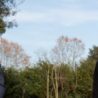 Intesa di Italia-Francia sugli obiettivi Ue: nell’incontro tra il ministro dell’Ambiente Sergio Costa e la francese Barbara Pompili, titolare della Transizione Energetica, il via alla collaborazione per decarbonizzare le economie nazionali