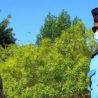Gibuti: Visita del Colonnello Mahamoud Moussa Mahamoud presso la Base Militare Italiana di Supporto