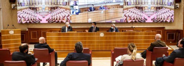 Il Ministro Di Maio al convegno “Verso la Conferenza sul futuro dell’Europa”