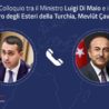 Colloquio telefonico del Ministro Di Maio con il Ministro degli Esteri turco Mevlüt Çavuşoğlu