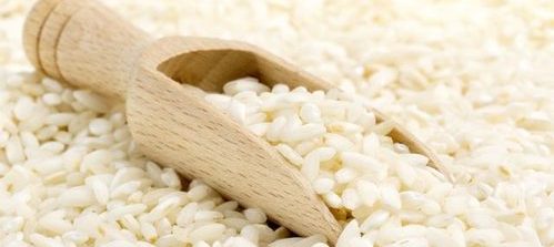 Industria alimentare, al via la prima campagna di esportazione di riso italiano in Cina