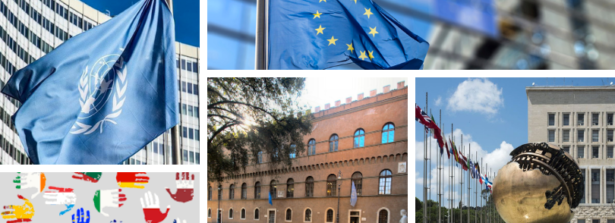 Alla SIOI il Master universitario per le Funzioni Internazionali e Cooperazione allo Sviluppo