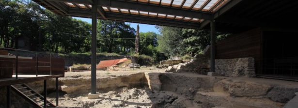 Missioni archeologiche in Georgia, Ambasciata d’Italia: proseguono le ricerche nell’area del sito preistorico di Dmanisi