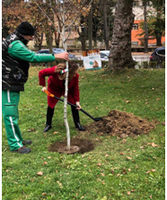 Piantati 27 alberi a Gabrovo, in Bulgaria, come simbolo dell’Europa unita e verde