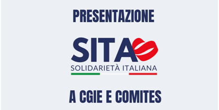 Riunione del Cgie: presentato il progetto Solidarietà Italiana (SITA). Una piattaforma online per le attività solidali degli italiani all’estero