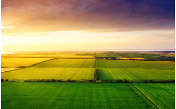 Commissione europea approva il regime di aiuti notificato dal Ministero delle Politiche Agricole da 1,2 mld per agricoltura, silvicoltura e pesca