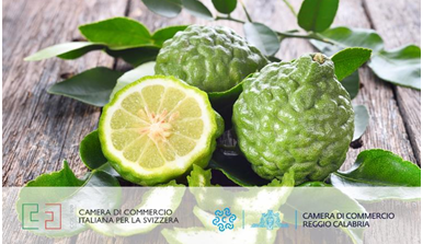 Il bergamotto: educational tour alla scoperta del profumo della Calabria