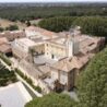Giornata Mondiale della Biodiversità , il 22 maggio la presentazione del Centro Nazionale di Biodiversità nella Tenuta Presidenziale di Castelporziano