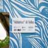 “Adriatico”:  a Tirana un murale dell’artista sardo “Tellas” dedicato ai rapporti tra Italia e Albania