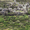 L’Agenzia Italiana per la Cooperazione allo Sviluppo (Aics) finanzierà con 2 milioni e 850 mila euro il progetto per la promozione del villaggio di Battir, in Palestina