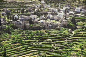 L’Agenzia Italiana per la Cooperazione allo Sviluppo (Aics) finanzierà con 2 milioni e 850 mila euro il progetto per la promozione del villaggio di Battir, in Palestina