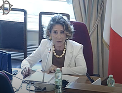 Commissione Esteri Camera, audizione del Segretario Generale dell’ IILA Antonella Cavallari