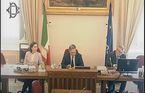 Brexit e tutela dei connazionali, al Comitato permanente sugli italiani nel mondo della l’audizione di Dimitri Scarlato del Comites di Londra