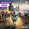 Al via la Birell 10K Race Prague con il sostegno dell’Ambasciata d’Italia a Praga, la gara inaugura la prima “Giornata dello Sport Italiano nel Mondo”