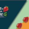 Fine dining. Cucina di Gran Classe”: su Rai Italia un nuovo format tv per far conoscere il cibo e l’Italia attraverso hotel di lusso e cucina gourmet