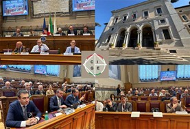 Carmelo Vaccaro, Il CGIE al CNEL per l’ultima giornata della Plenaria 2025