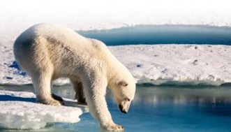 Dal 3 al 4 marzo a Roma l’Arctic Circle Forum – Polar Dialogue 2026