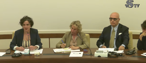Commissione Esteri Difesa del Senato: l’audizione del Comitato di Presidenza del Cgie