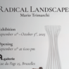 Dieci tipi di nero”, il 10 settembre incontro all’Istituto Italiano di Cultura di Bruxelles con il designer Mario Trimarchi