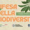 In Ambasciata a Madrid la conferenza “Difesa della biodiversità. L’impegno di Italia e Spagna”