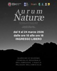 All’Aquila la mostra “Aurum Naturæ”: i paesaggi in bianco e nero di Marco Equizi