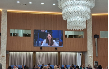 Assemblea Plenaria del Cgie: l’intervento della Direttrice Generale per Servizi ai Cittadini all’Estero Silvia Limoncini