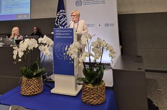 Il Ministro Calderone alla 114esima Conferenza Internazionale del Lavoro a Ginevra
