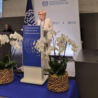 Il Ministro Calderone alla 114esima Conferenza Internazionale del Lavoro a Ginevra