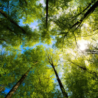 MASE, oltre 400 ragazzi nel Campi Giovani 2026 tra cittadinanza attiva e natura, visitate sette aree naturali protette