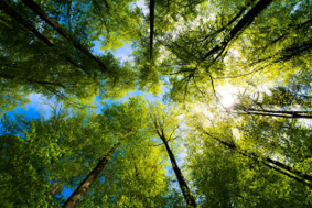 MASE, oltre 400 ragazzi nel Campi Giovani 2026 tra cittadinanza attiva e natura, visitate sette aree naturali protette