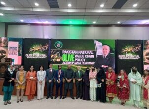 AICS: il Pakistan lancia la Politica nazionale per la filiera dell’olivo con il sostegno dell’Italia